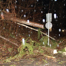 normal_19012012fmt_b20baum_fm_06.jpg