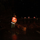 normal_19012012fmt_b20baum_fm_07.jpg