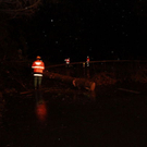 normal_19012012fmt_b20baum_fm_09.jpg