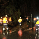 normal_19012012fmt_b20baum_fm_13.jpg