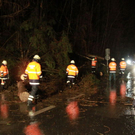 normal_19012012fmt_b20baum_fm_14.jpg