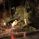 normal_19012012fmt_b20baum_fm_15.jpg