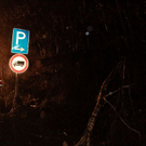 normal_19012012fmt_b20baum_fm_16.jpg