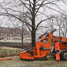 d20aXII028.jpg