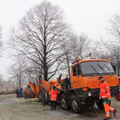 d20aXII037.jpg