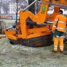 normal_20012012fmt_baumpflanzung_ta_005.JPG
