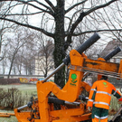 normal_20012012fmt_baumpflanzung_ta_006.JPG