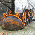 normal_20012012fmt_baumpflanzung_ta_008.JPG