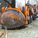 normal_20012012fmt_baumpflanzung_ta_009.JPG