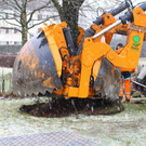 normal_20012012fmt_baumpflanzung_ta_010.JPG