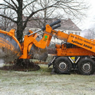 normal_20012012fmt_baumpflanzung_ta_014.JPG