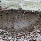 normal_20012012fmt_baumpflanzung_ta_015.JPG