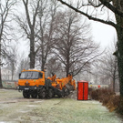 normal_20012012fmt_baumpflanzung_ta_017.JPG