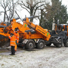 normal_20012012fmt_baumpflanzung_ta_018.JPG