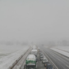 normal_20012012fmt_vua8_fm_19.jpg