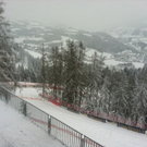 Foto4.JPG