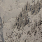 21012012lawrlaktivnews _34_.JPG