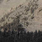21012012lawrlaktivnews _7_.JPG