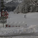 21012012lawrlaktivnews _16_.JPG