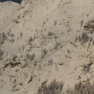 21012012lawrlaktivnews _5_.JPG