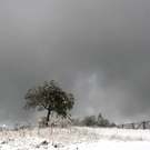 ABD0054-20101020.jpg
