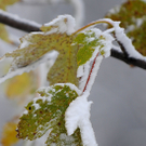 ABD0055-20101020.jpg
