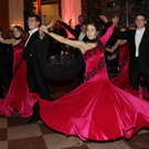 OeVP_Ball01620120120.jpg