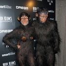 DI30007-20111101.jpg