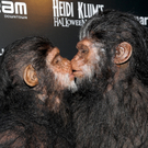 DI30006-20111101.jpg