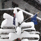 normal_21012011schnee04001aktivnews12.jpg