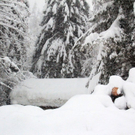 normal_21012011schnee04001aktivnews15.jpg