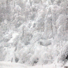 normal_21012011schnee04001aktivnews16.jpg