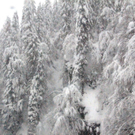 normal_21012011schnee04001aktivnews21.jpg