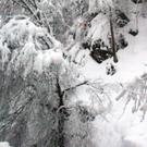 normal_21012011schnee04001aktivnews23.jpg