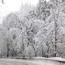 normal_21012011schnee04001aktivnews25.jpg