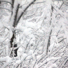 normal_21012011schnee04001aktivnews30.jpg