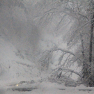 normal_21012011schnee04001aktivnews31.jpg