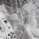 normal_21012012b16404001aktivnews02.jpg