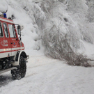normal_21012012b16404001aktivnews15.jpg