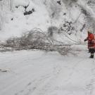 normal_21012012b16404001aktivnews18.jpg