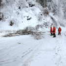 normal_21012012b16404001aktivnews20.jpg
