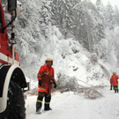 normal_21012012b16404001aktivnews24.jpg