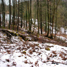 normal_22012012fmt_HangrutschFuerstenbrunn_ex_08.jpg