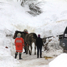 normal_220112pferdeat04001aktivnews08.jpg