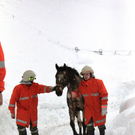 normal_220112pferdeat04001aktivnews20.jpg