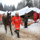 normal_220112pferdeat04001aktivnews72.jpg