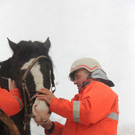 normal_220112pferdeat04001aktivnews78.jpg