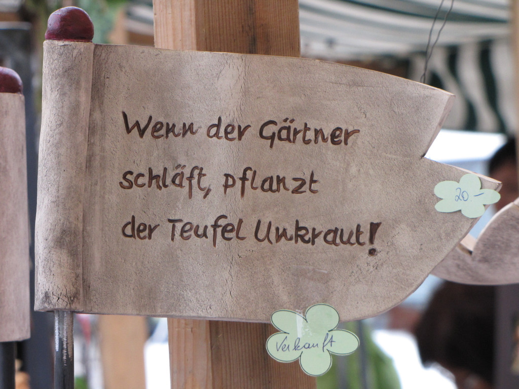 IMG_6710_JPG-1327258119