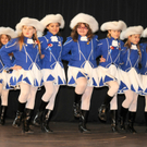 Seniorenball H__chst 22_01_2012 55_jpg-1327259262