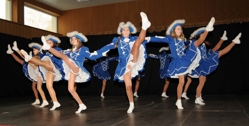 Seniorenball H__chst 22_01_2012 89_jpg-1327259327